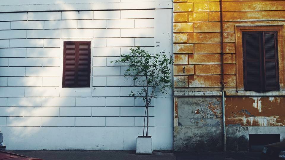 10403415_10153533360324497_5499128021369009237_n