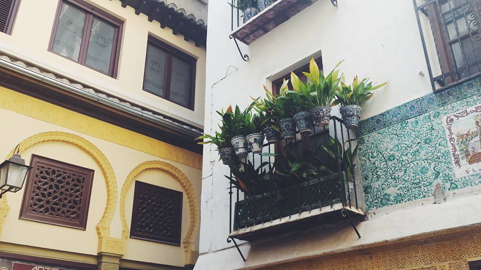 11011099_10153568852109497_3240495747066452953_n