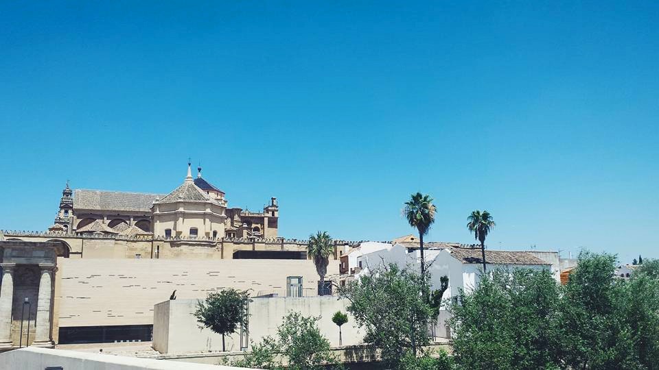 11056896_10153552602999497_7800616185065227347_n