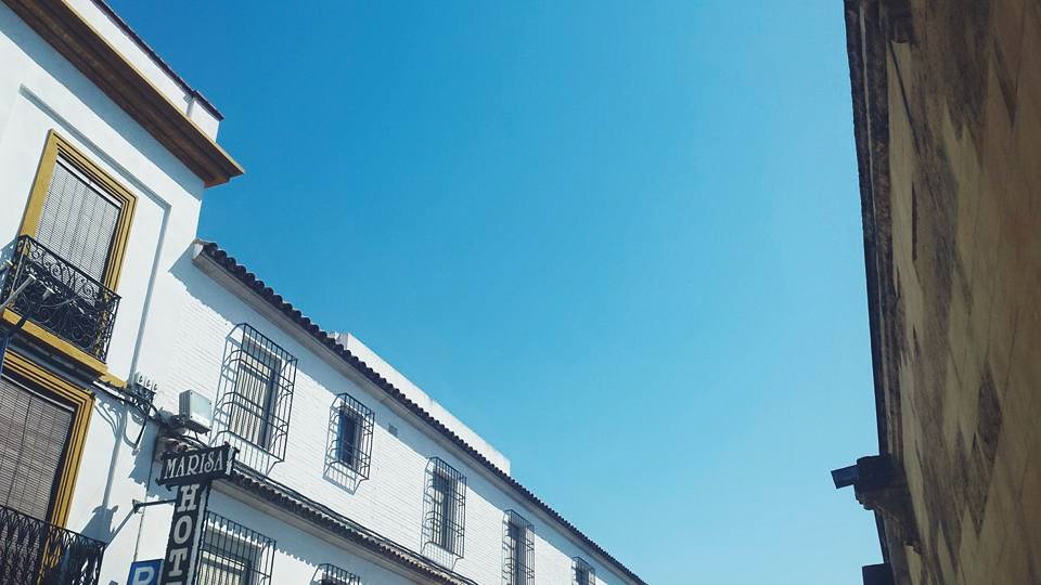 11202668_10153552603869497_1842682994185859602_n