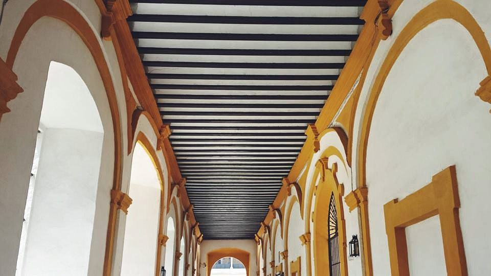 11223806_10153561310519497_2783527510272176571_n