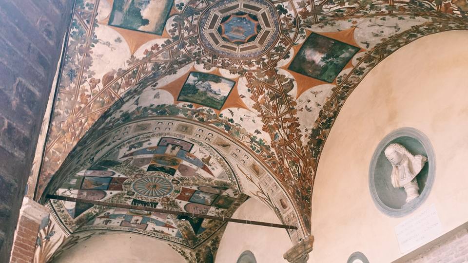 11226564_10153527948844497_5217039424745196818_n