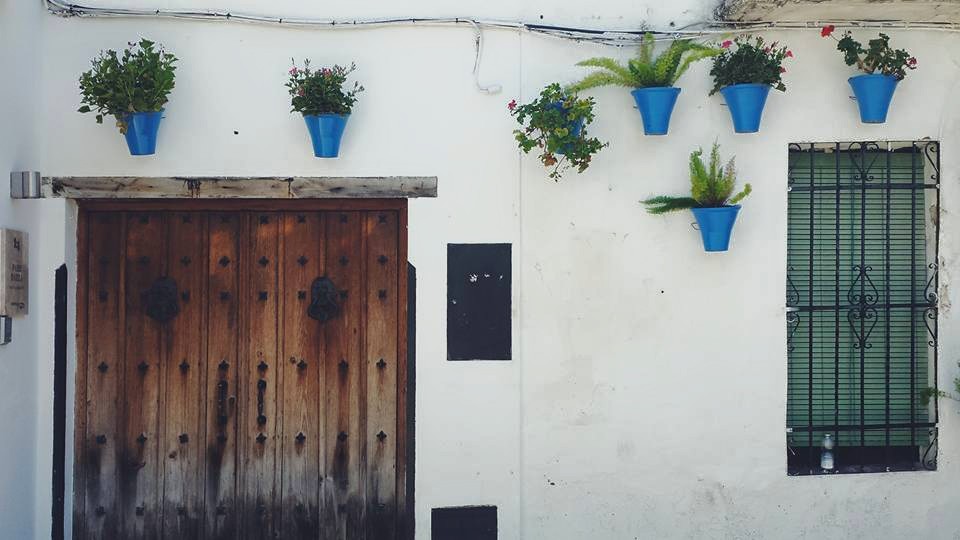 11262147_10153552603129497_8466753623250964555_n