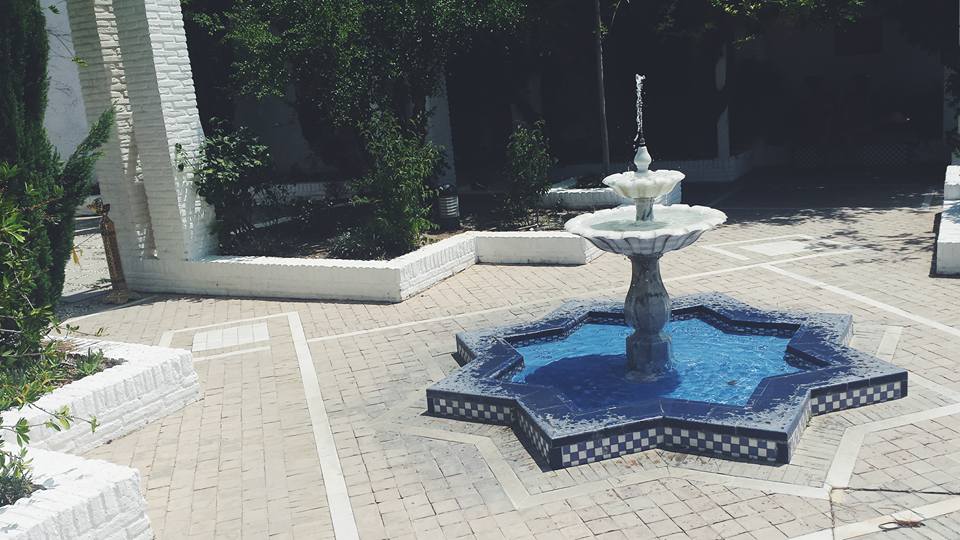 11264858_10153568851639497_8771039461239411131_n