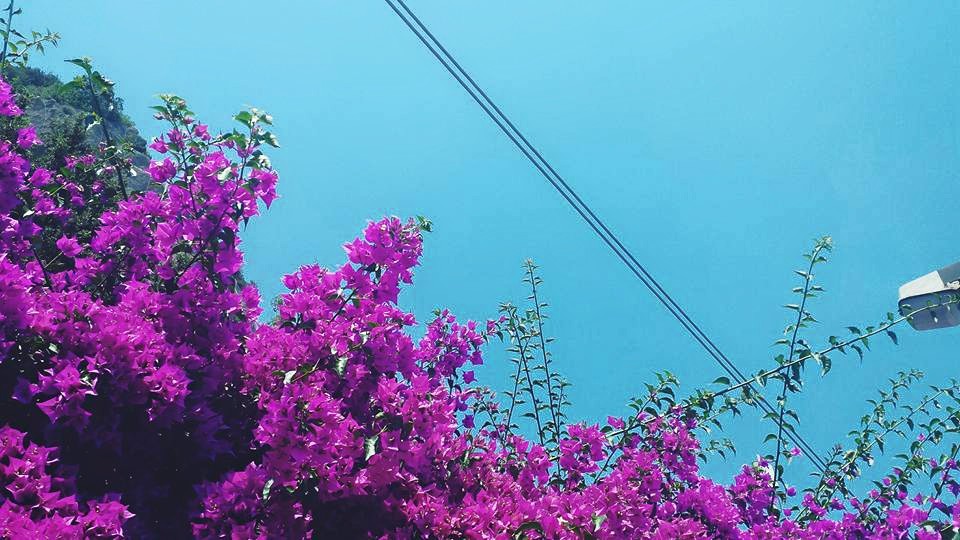 11659452_10153527961404497_7532622886275988283_n