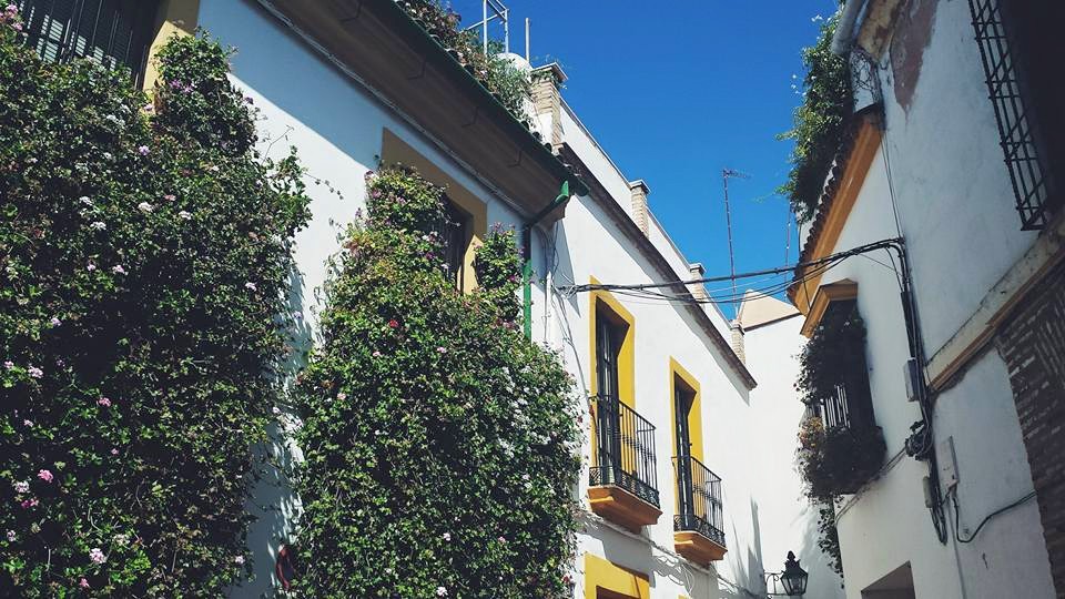 11694882_10153552602349497_5828595361051646364_n