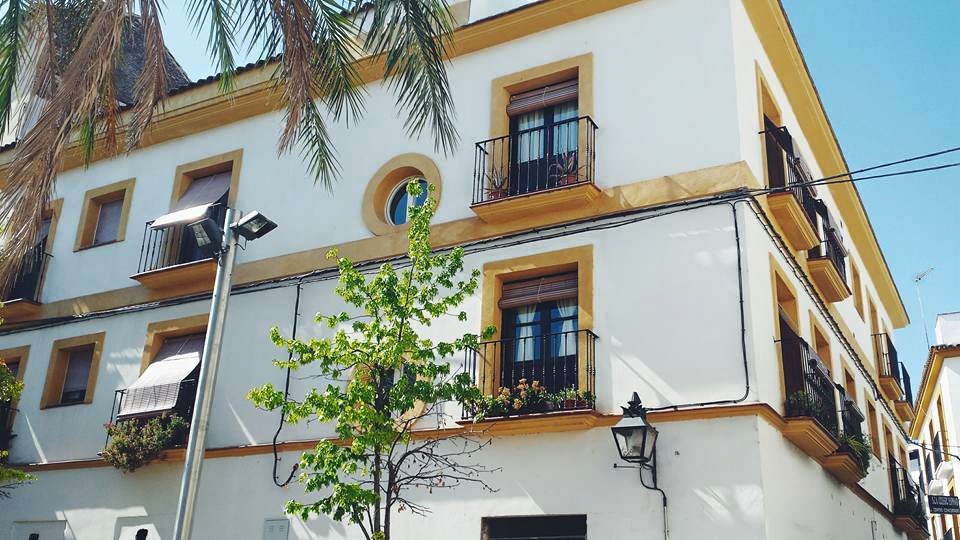 11694999_10153552602464497_6462431141521321441_n