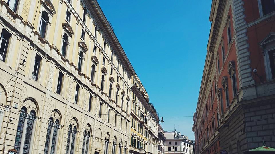 11695841_10153533359744497_7075381479468769406_n