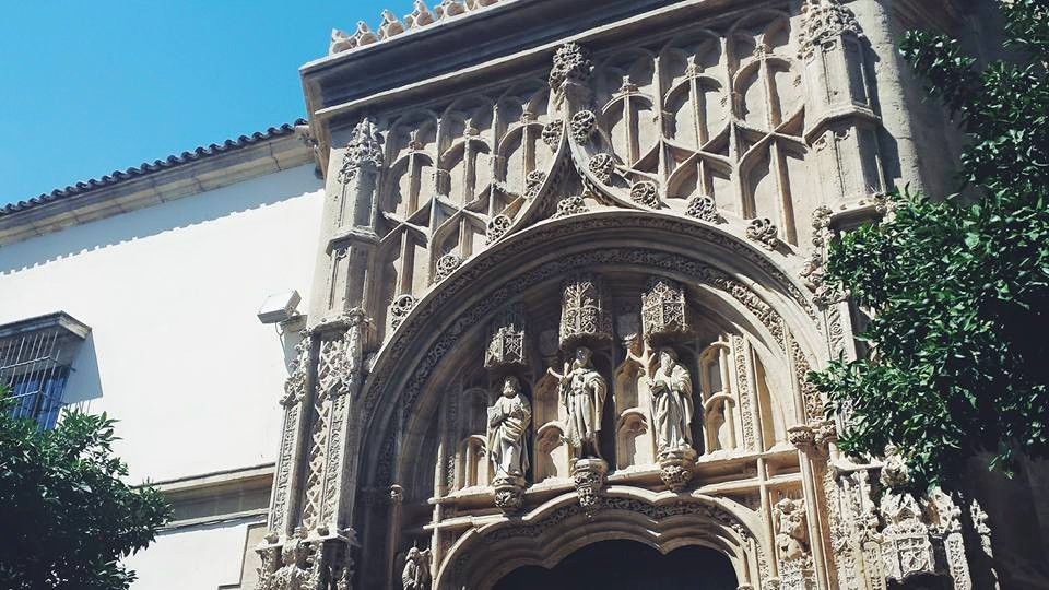 11695958_10153552604454497_3487990268046706739_n