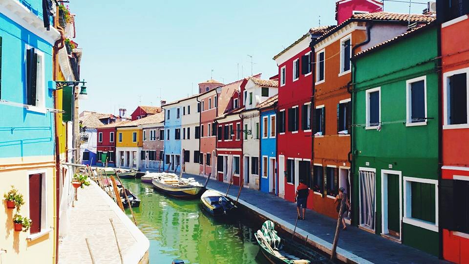 11701057_10153523502929497_1520223933592440733_n