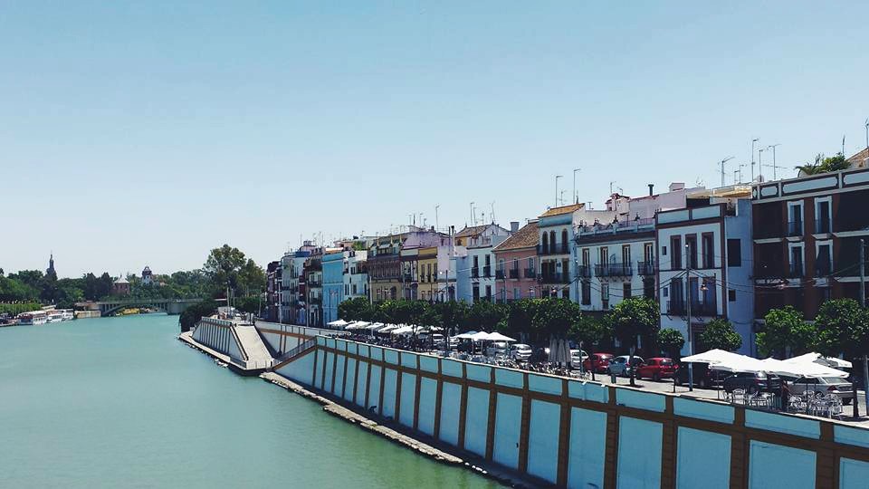 11709495_10153561313549497_6176761311132251314_n