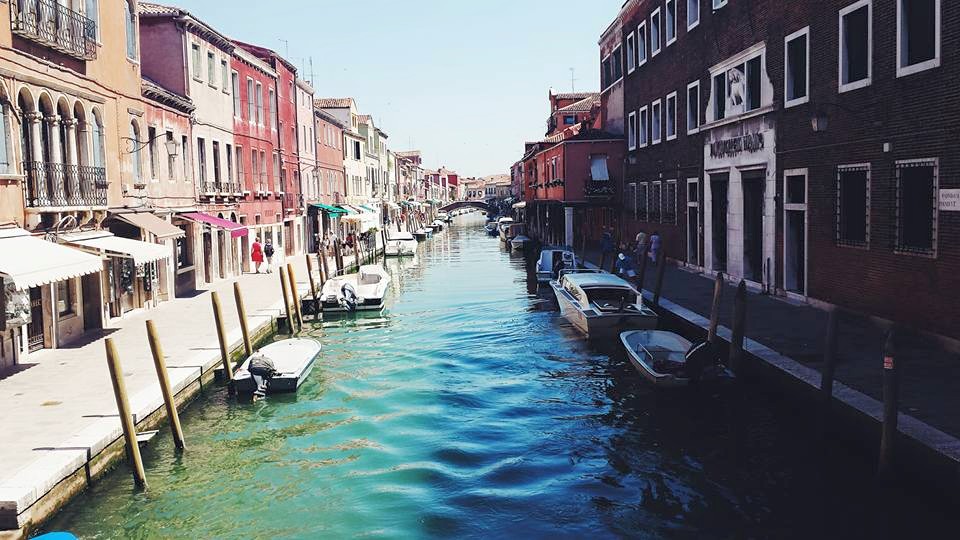 11709584_10153523498524497_863275779989490259_n