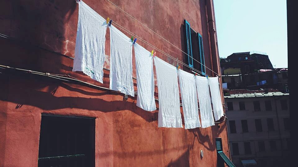 11709615_10153527960064497_7300668546118253117_n