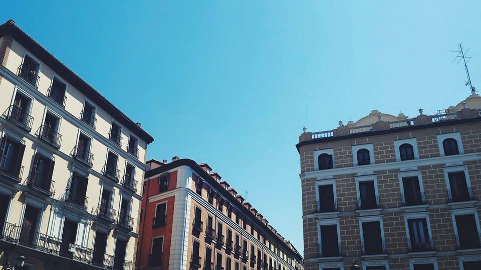 11742669_10153544662469497_3585200062419670023_n