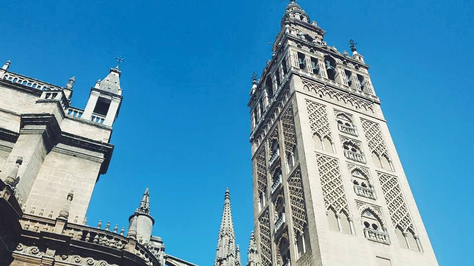 11745312_10153561312959497_6904426399193305093_n