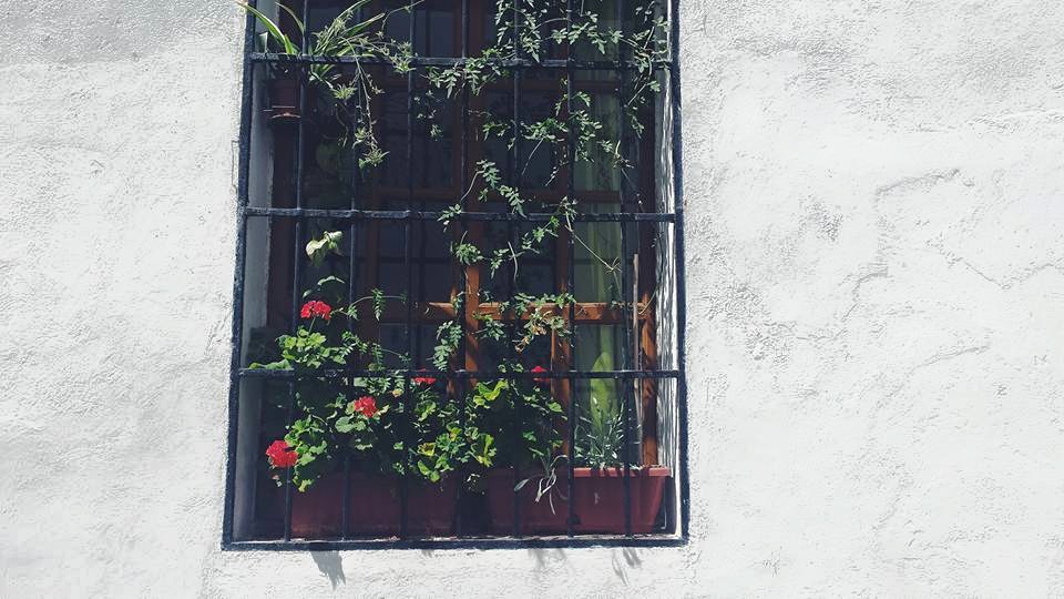 11750706_10153552603404497_8908680774139340836_n