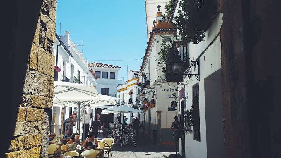 11753656_10153552601964497_3373867298285341511_n