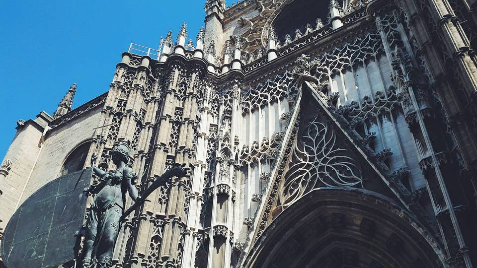 11755779_10153561310884497_951371435819314573_n