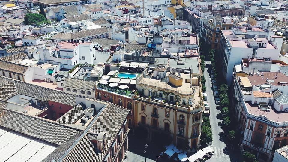 11760235_10153561310589497_4209421192313231757_n