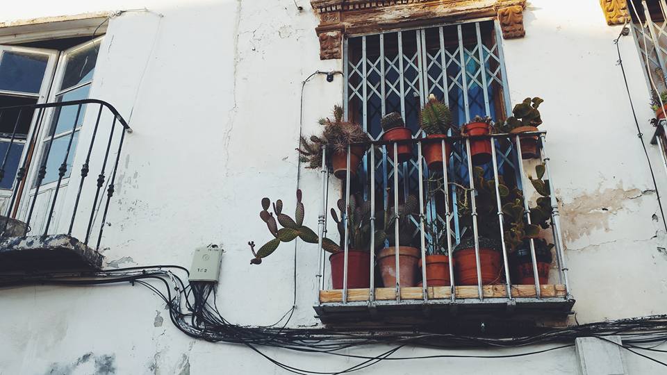 11781664_10153568852454497_3083840934899123005_n