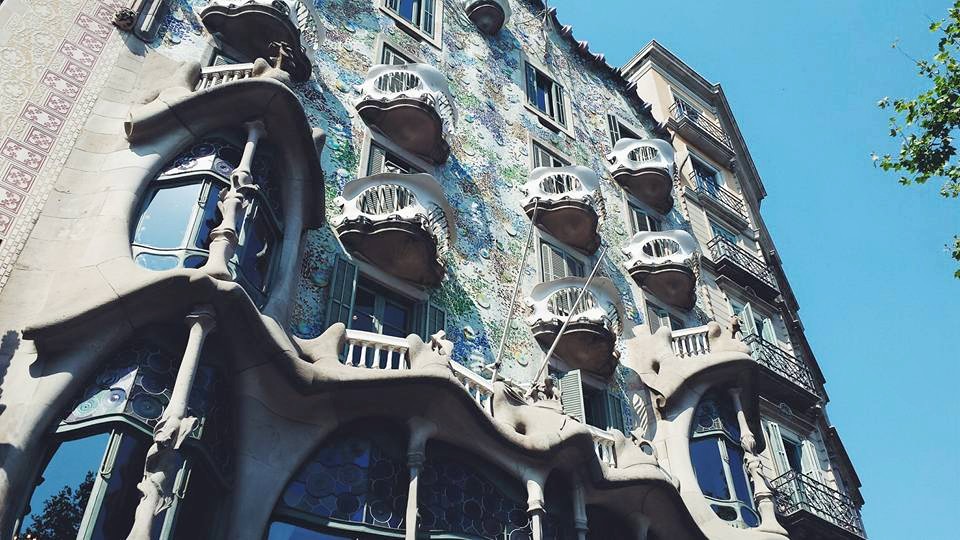 11800325_10153574224939497_5781834071195007610_n