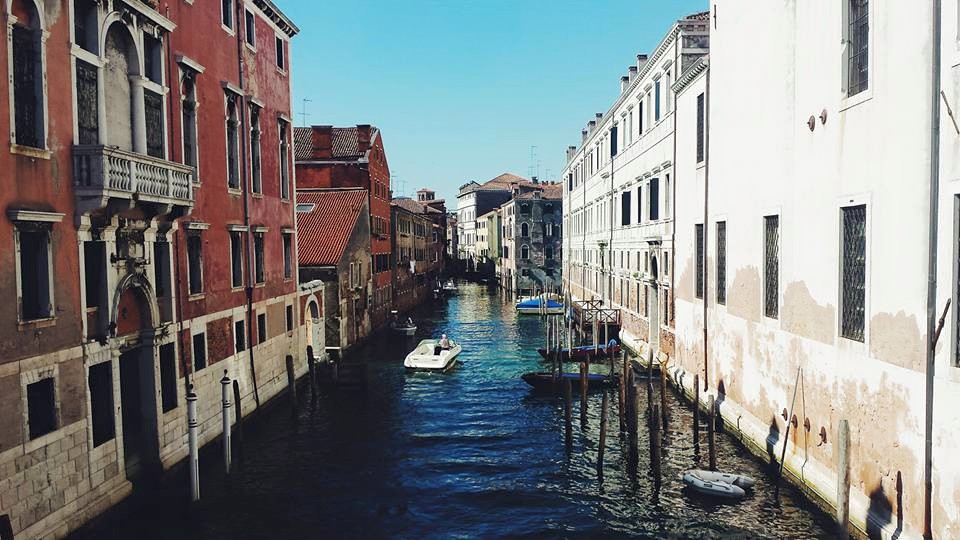 1510515_10153523495234497_5104586804560329251_n