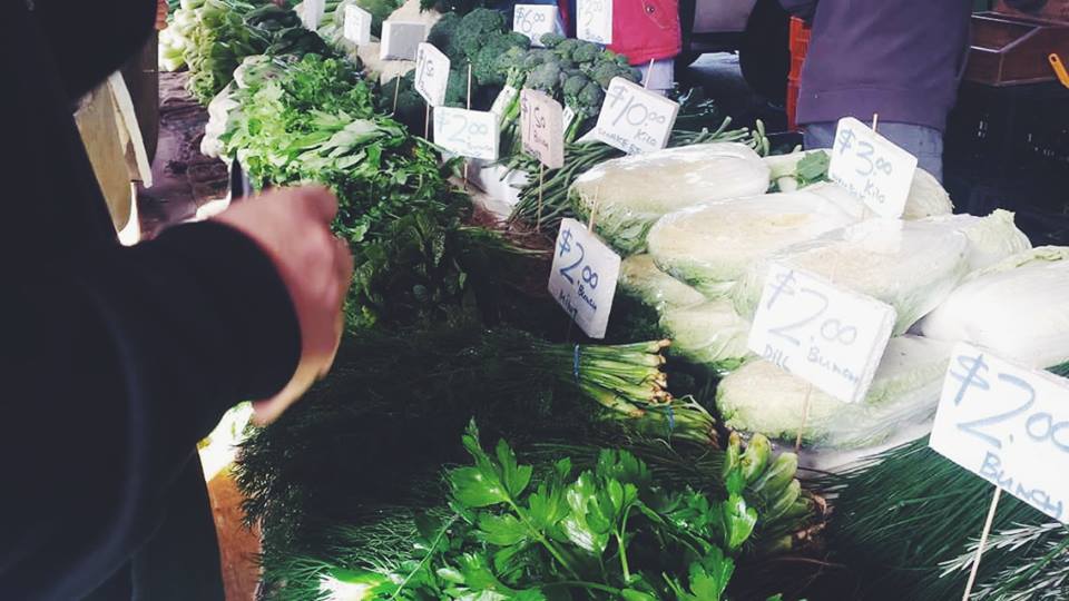 13061969_10154227738159497_6141133450565322531_n