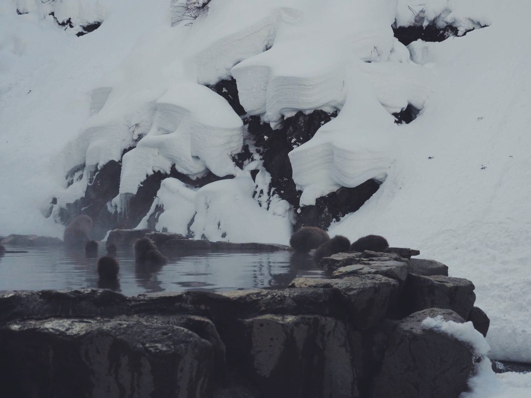 Processed with VSCO with f2 preset