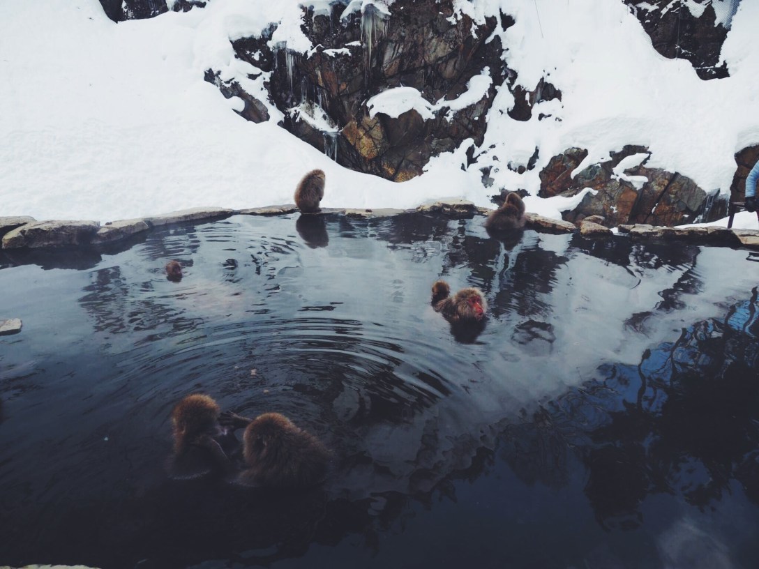 Processed with VSCO with f2 preset