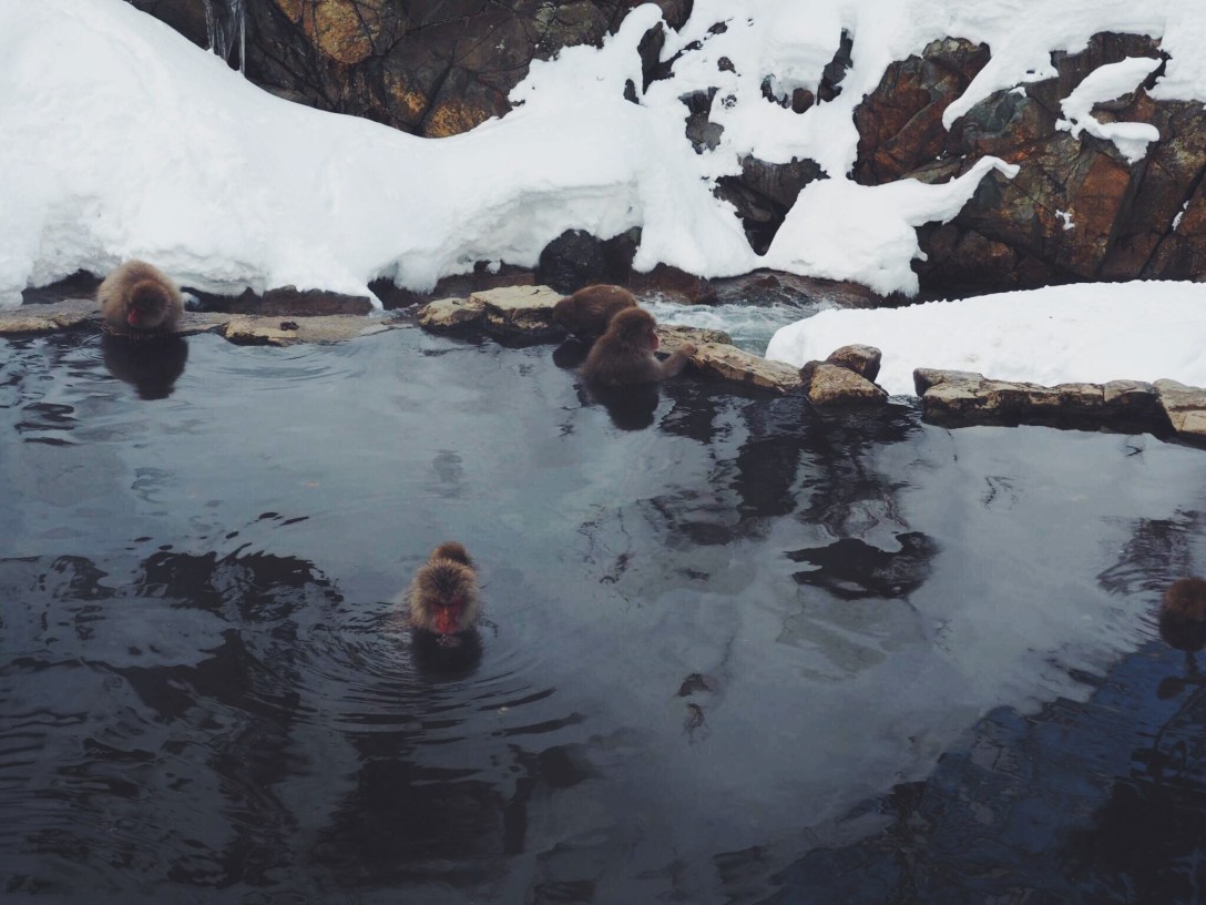 Processed with VSCO with f2 preset