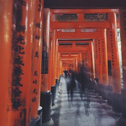 Getting Kultured in Kyoto