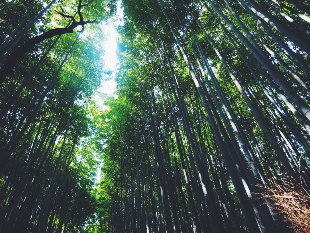 Processed with VSCO with f2 preset