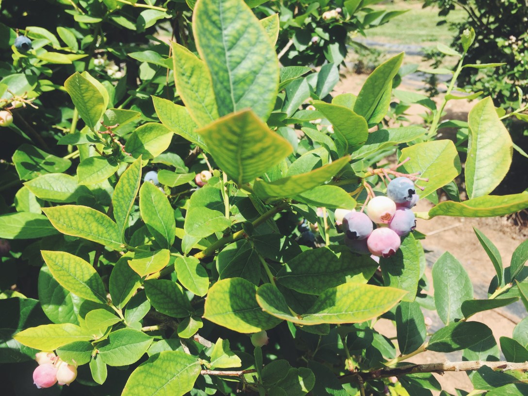 Processed with VSCO with f2 preset