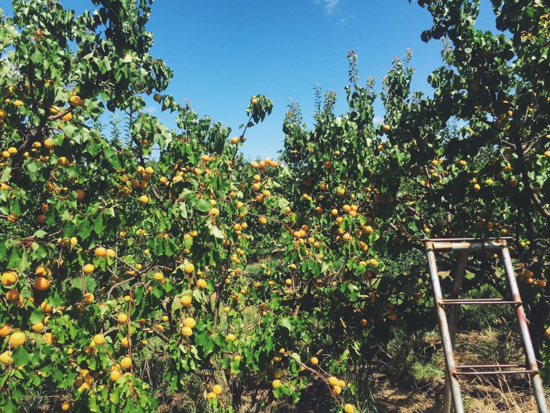 Processed with VSCO with f2 preset