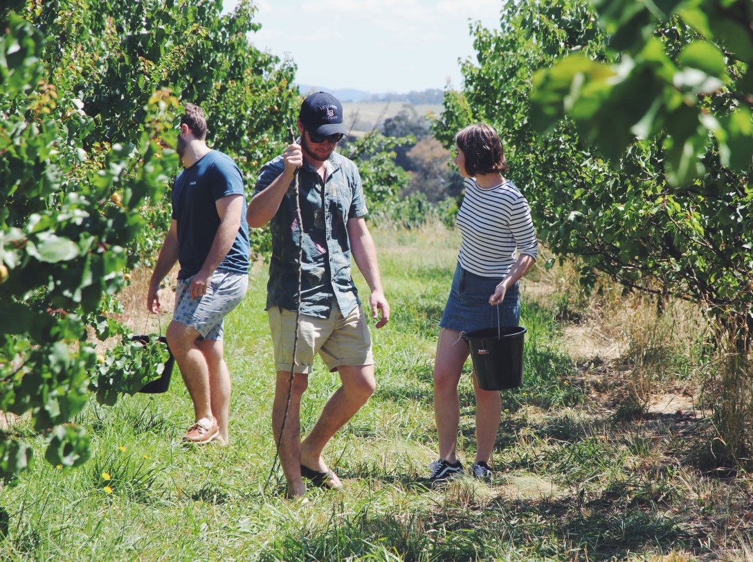 Processed with VSCO with f2 preset