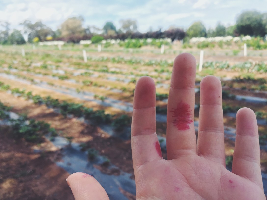 Processed with VSCO with f2 preset