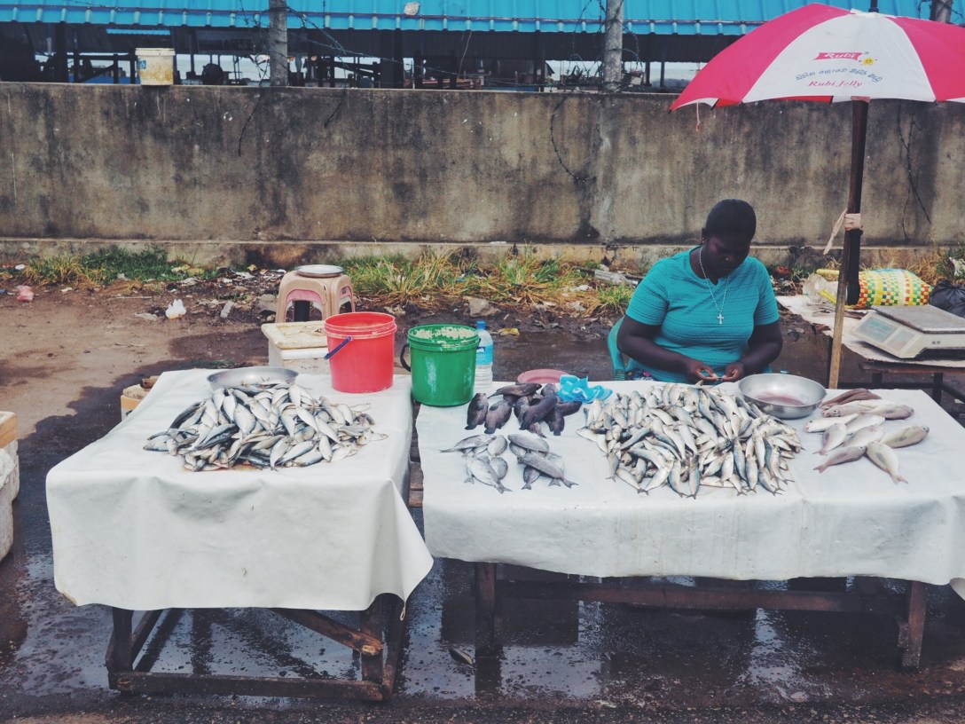 Processed with VSCO with f2 preset