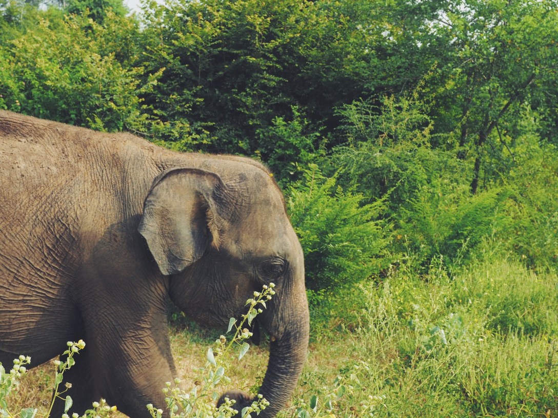 Processed with VSCO with f2 preset