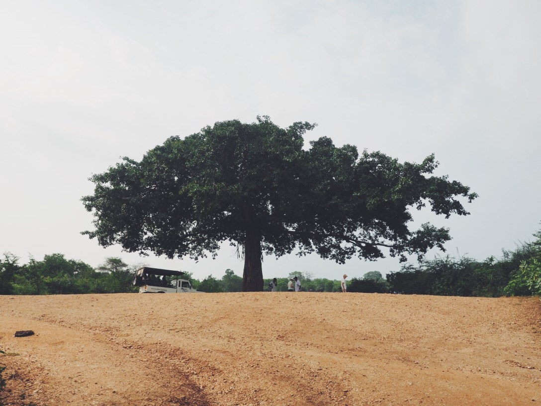 Processed with VSCO with f2 preset