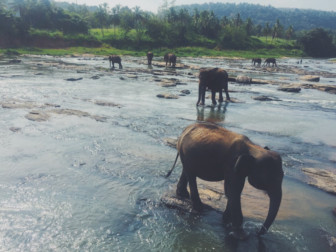 Processed with VSCO with f2 preset