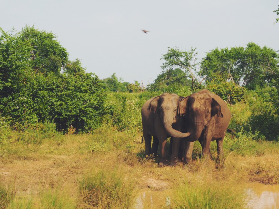 Processed with VSCO with f2 preset