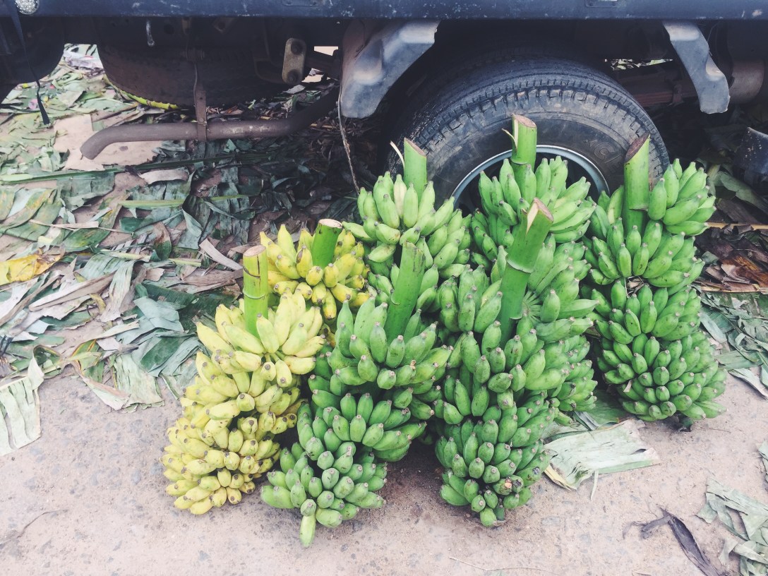 Processed with VSCO with f2 preset