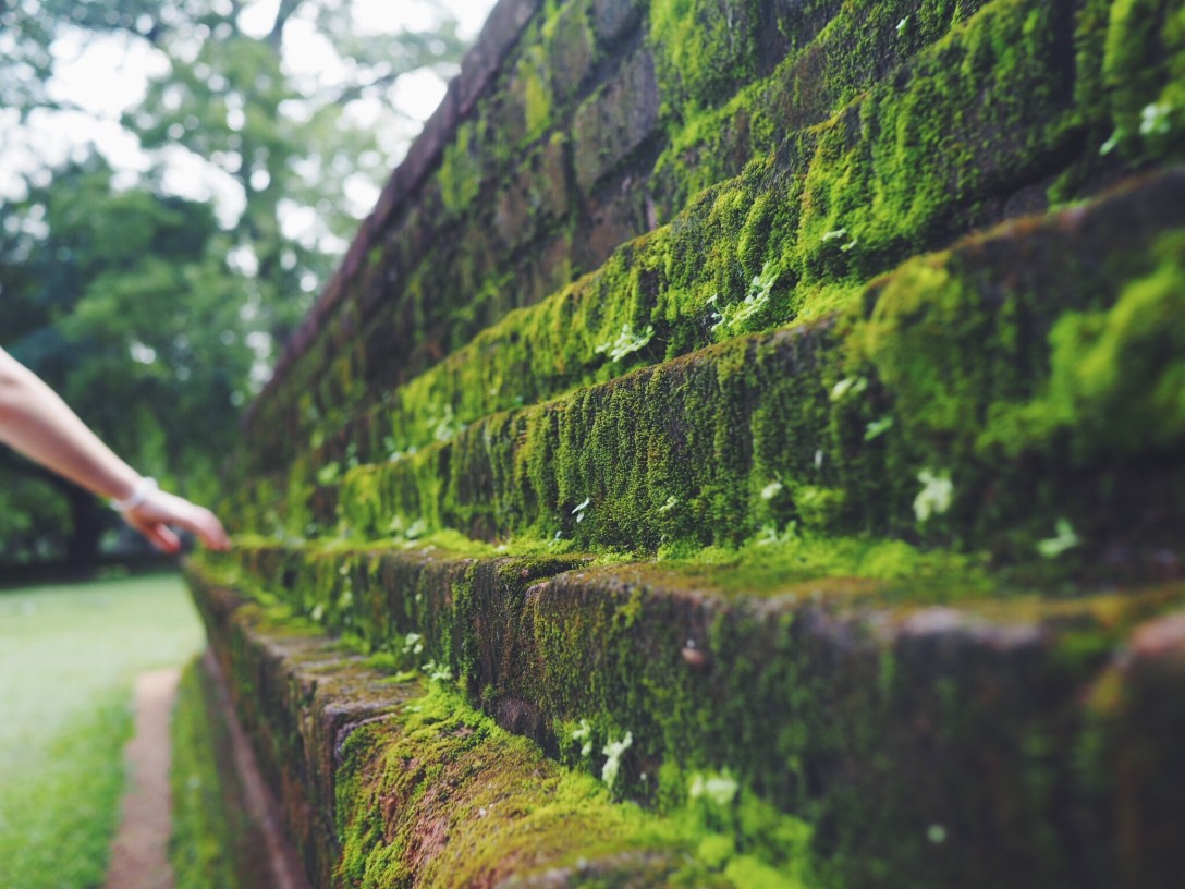 Processed with VSCO with f2 preset