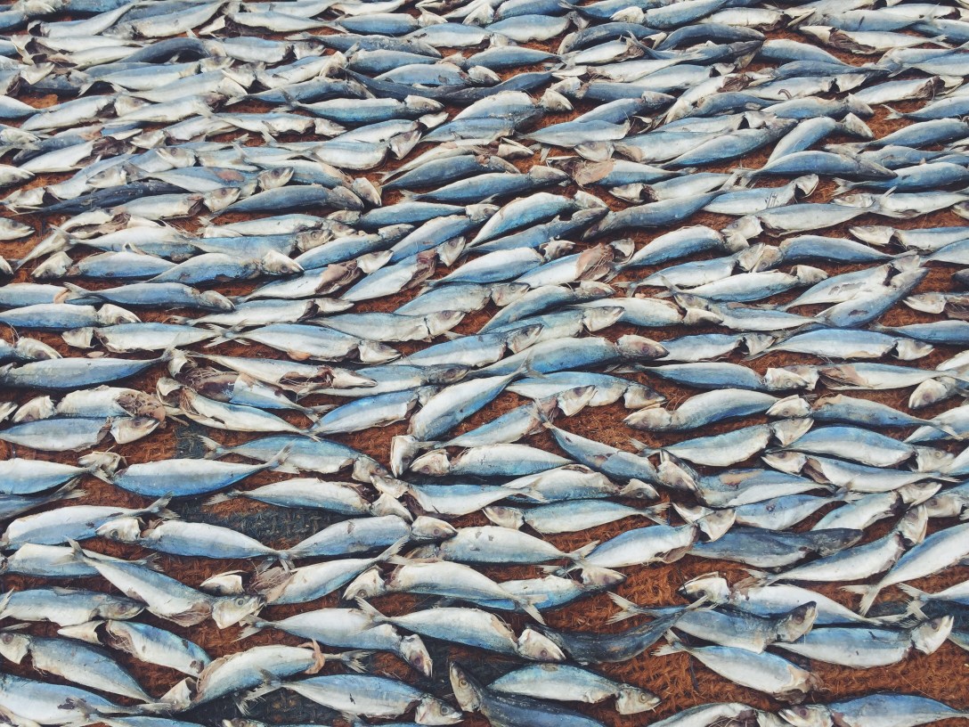 Processed with VSCO with f2 preset