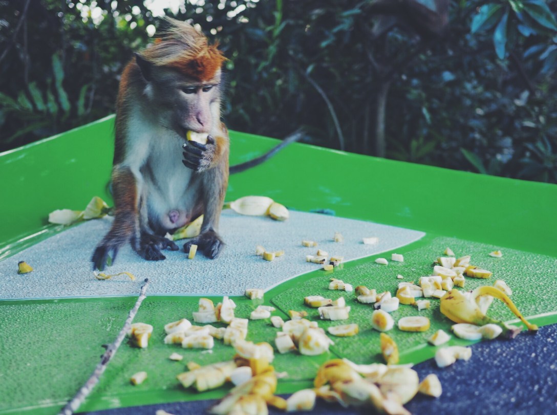 Processed with VSCO with f2 preset