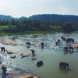 Stepping into Sri Lanka