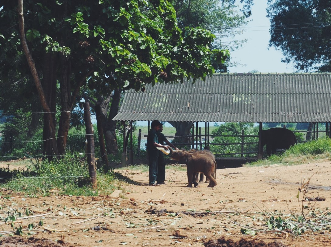 Processed with VSCO with f2 preset