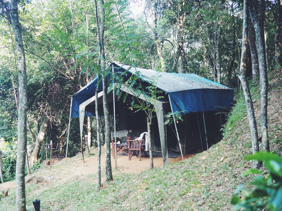 Processed with VSCO with f2 preset