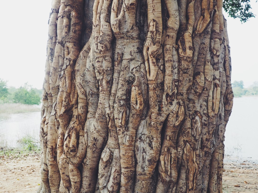 Processed with VSCO with f2 preset