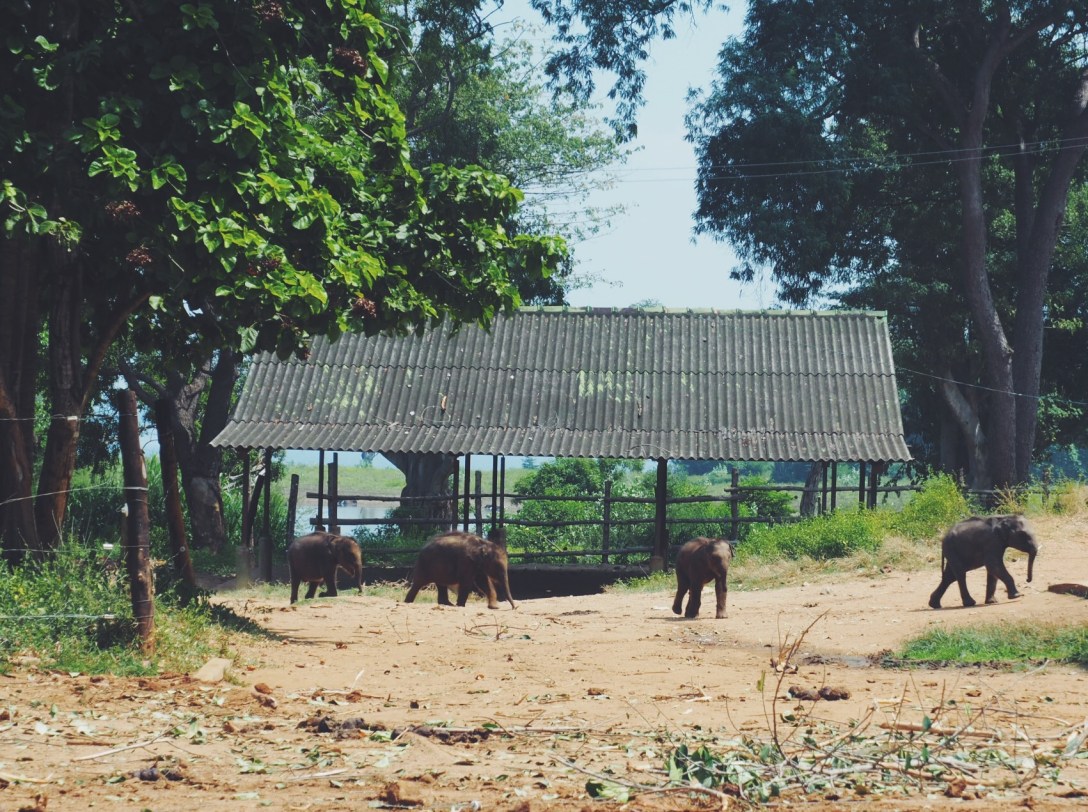 Processed with VSCO with f2 preset